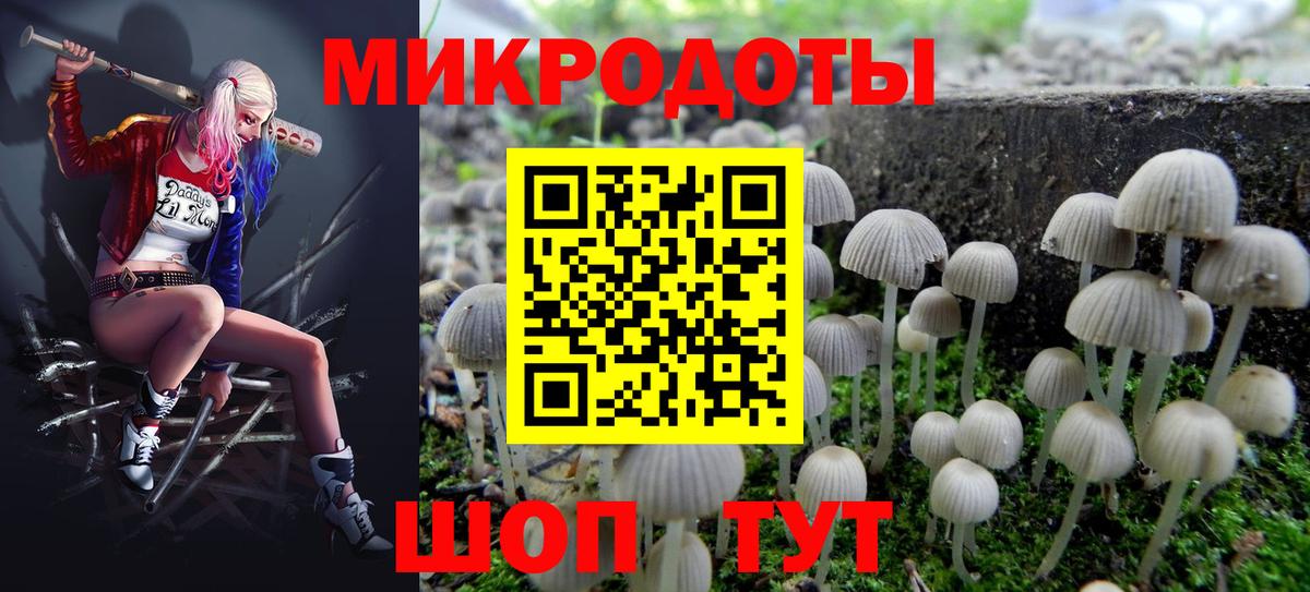 Волгоград  Галлюциногенные грибы GOLDEN TEACHER  Вход с VPN 