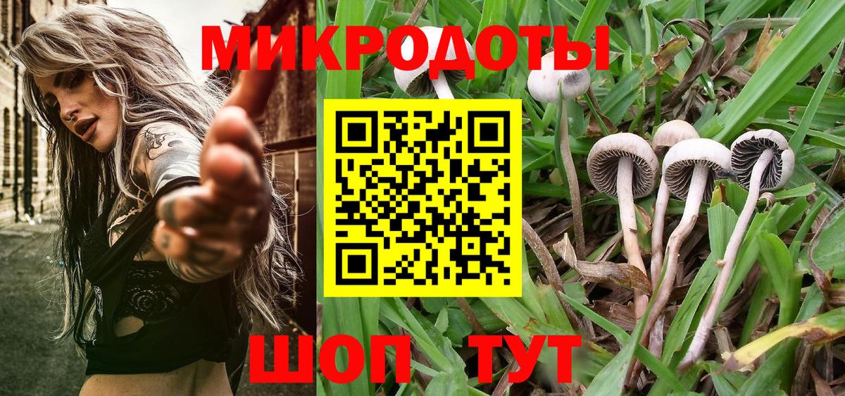 Псилоцибиновые грибы GOLDEN TEACHER Волгоград