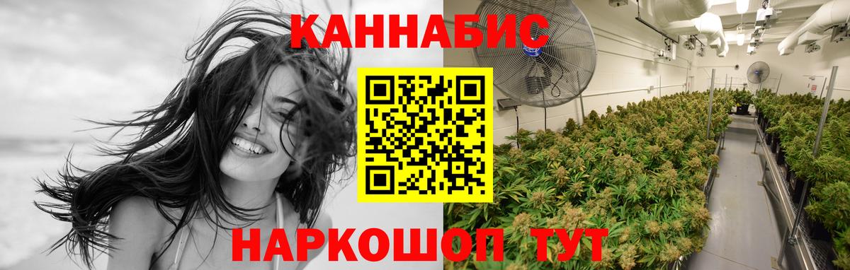 Шишки марихуана OG Kush Волгоград